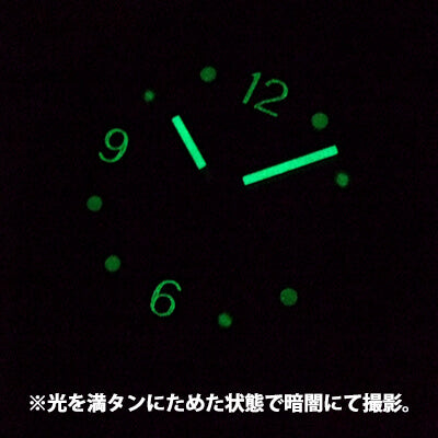 オキシゲン(OXYGEN) ダイバーレジェンド 42 EX-A-42-VL-DB メンズ 自動巻き 腕時計