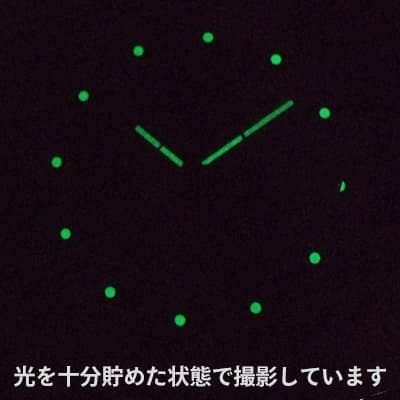 シュトゥルマンスキー(STURMANSKIE)/OPEN SPACE 24 HOURS 24時間時計パーベルバリャコフモデル 自動巻き/2431-1764937 腕時計