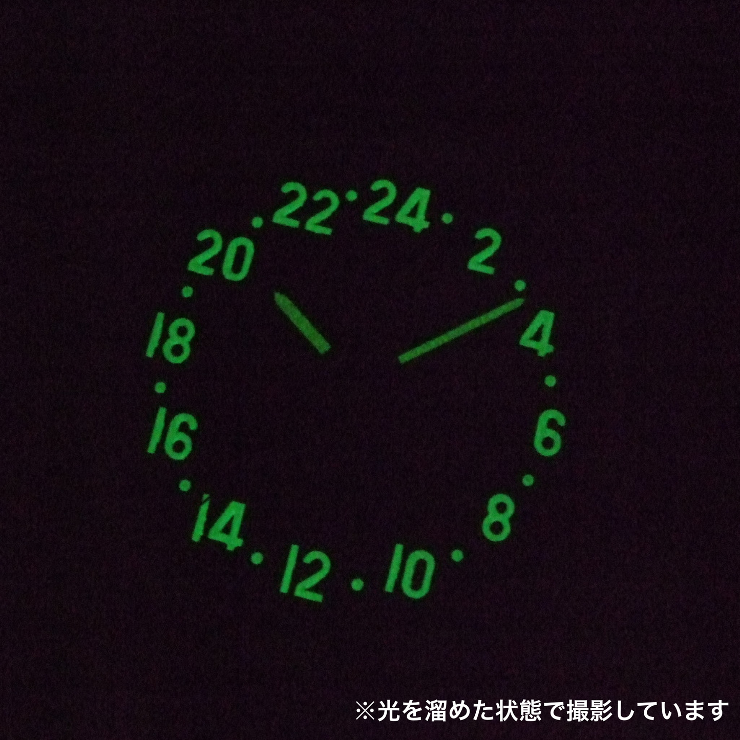 STURMANSKIE(シュトゥルマンスキー) HERITAGE ARCTIC(ヘリテージ アルクティカ) 自動巻き 2431/6821347 腕時計 蓄光