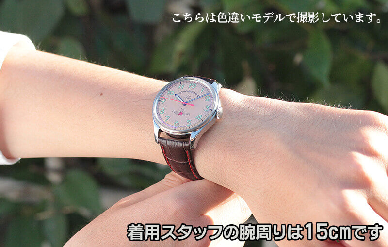 STURMANSKIE シュトゥルマンスキー アニバーサリーモデル ガガーリン 2609-3747478 1000本限定 腕時計