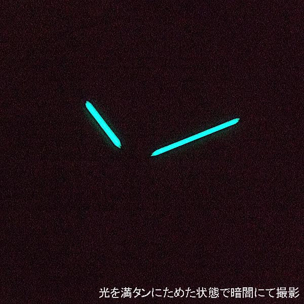 アイアンアニー(IRON ANNIE)アマゾナス(AMAZONAS)5960-4AT 自動巻き 腕時計