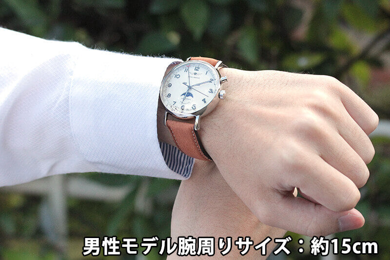 アイアンアニー(IRON ANNIE)アマゾナス(AMAZONAS)5976-5QZ トリプルカレンダー 腕時計