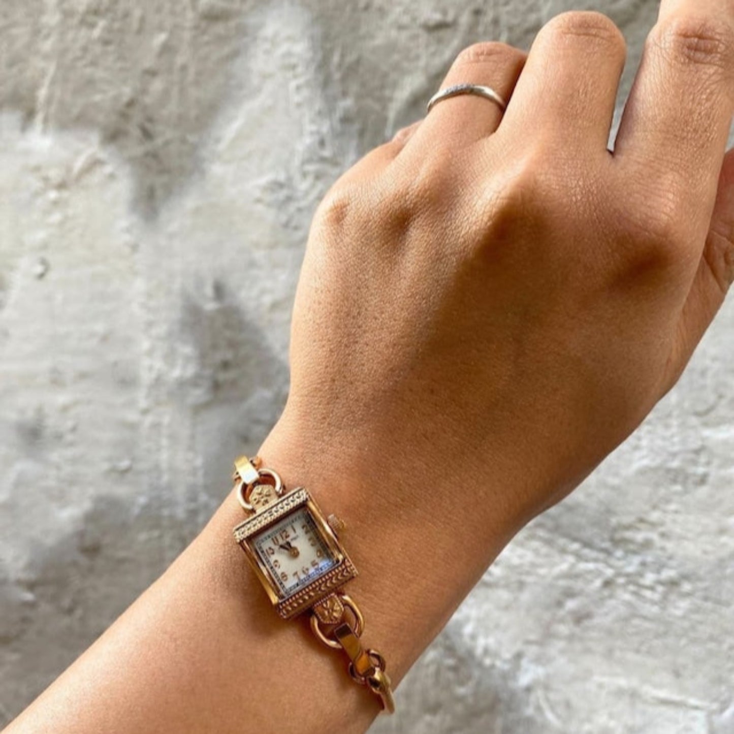 ハミルトン HAMILTON 280.002 SS シェル QZ レディース/リリアルリン