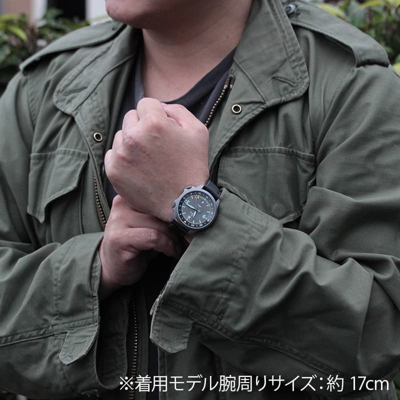 ラコ(Laco)フランクフルト(Frankfurt)グラウ Laco39 GMT 自動巻き 862121 腕時計 グレー