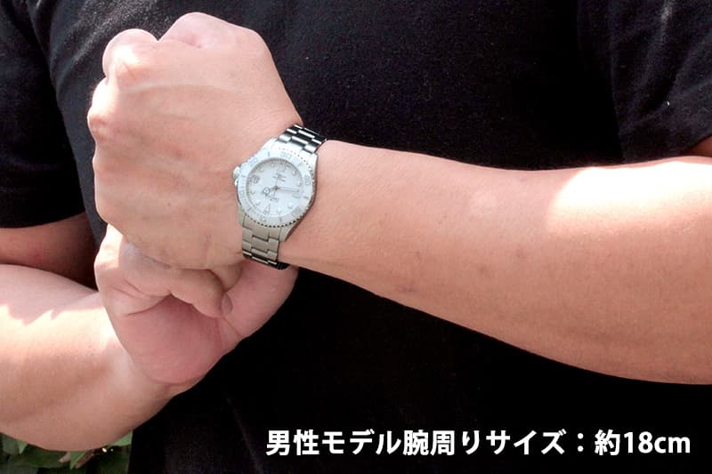 DAVOSA(ダボサ)TERNOS MEDIUM(テルノス ミディアム)/自動巻き/36.5mm経/ 166.195.10 ホワイト 腕時計