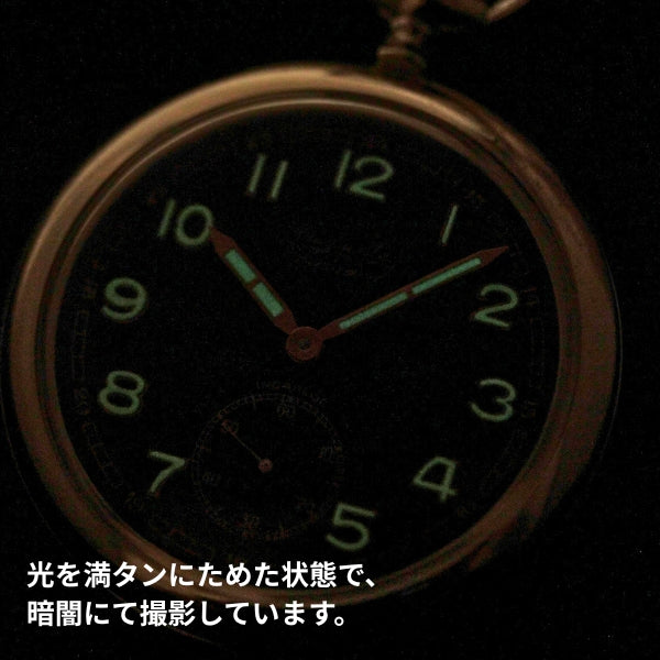 絶版モデルのオーガスト・レイモンド / ARSA(Auguste Raymond S.A) / アラビア数字/黒文字盤 / arsa-106