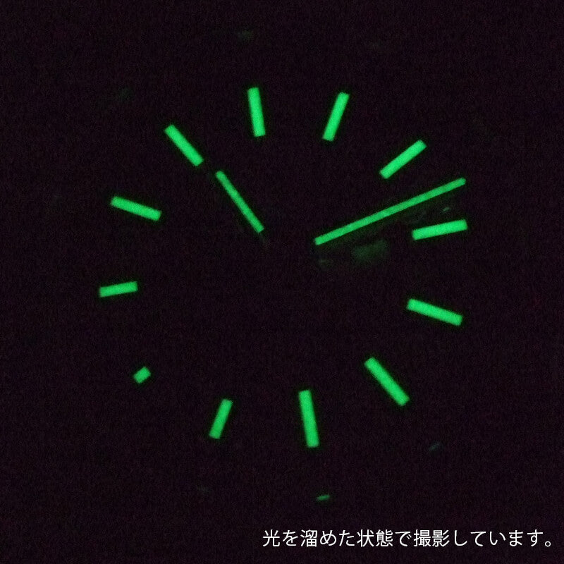 ROTARY(ロータリー) REGENT (リージェント) GS05415/05 自動巻き スケルトン 腕時計