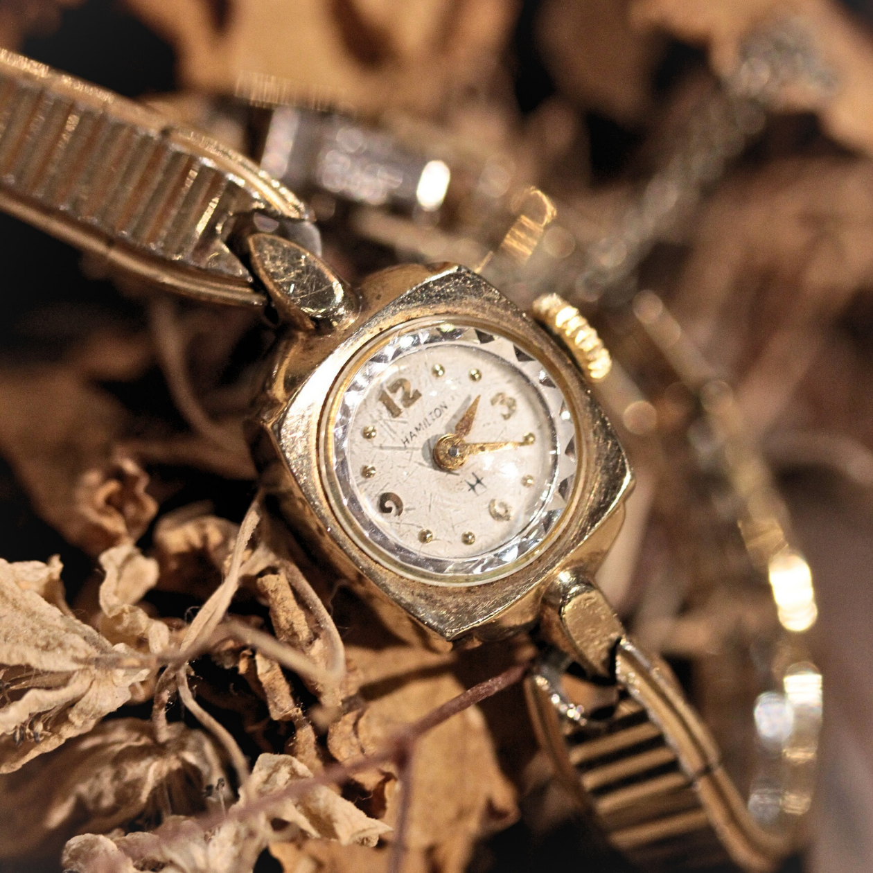 HAMILTON / ハミルトン / ヴィンテージ / カットガラス / 腕時計 / 手