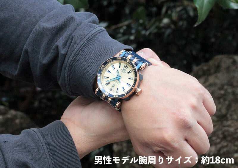 VOSTOK EUROPE(ボストーク ヨーロッパ) ENERGIA-2(エネルギア-2) NH35A-575E651 腕時計