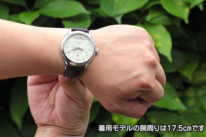AVIATOR(アビエイター) DOUGLAS(ダグラス) デイデイト V.3.20.0.141.4 自動巻き 腕時計