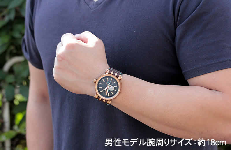 VOSTOK EUROPE(ボストーク ヨーロッパ) エネルギア ブロンズ 自動巻き YN84-575o540 世界3000本限定 腕時計