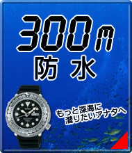 300MɿС饤ʥå