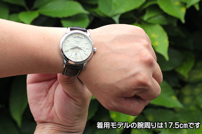 aviator(ӥ)奤᡼饹DC3