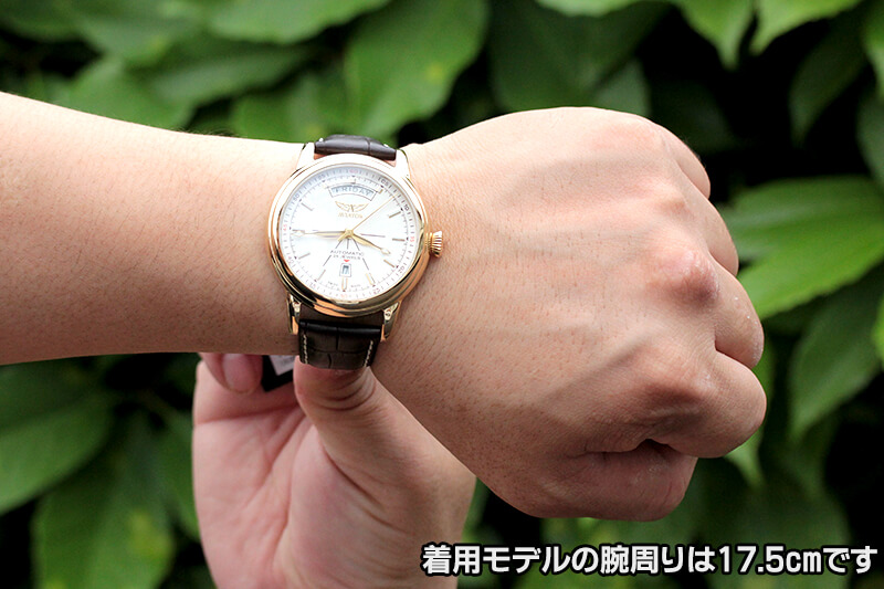 aviator(ӥ)奤᡼饹DC3