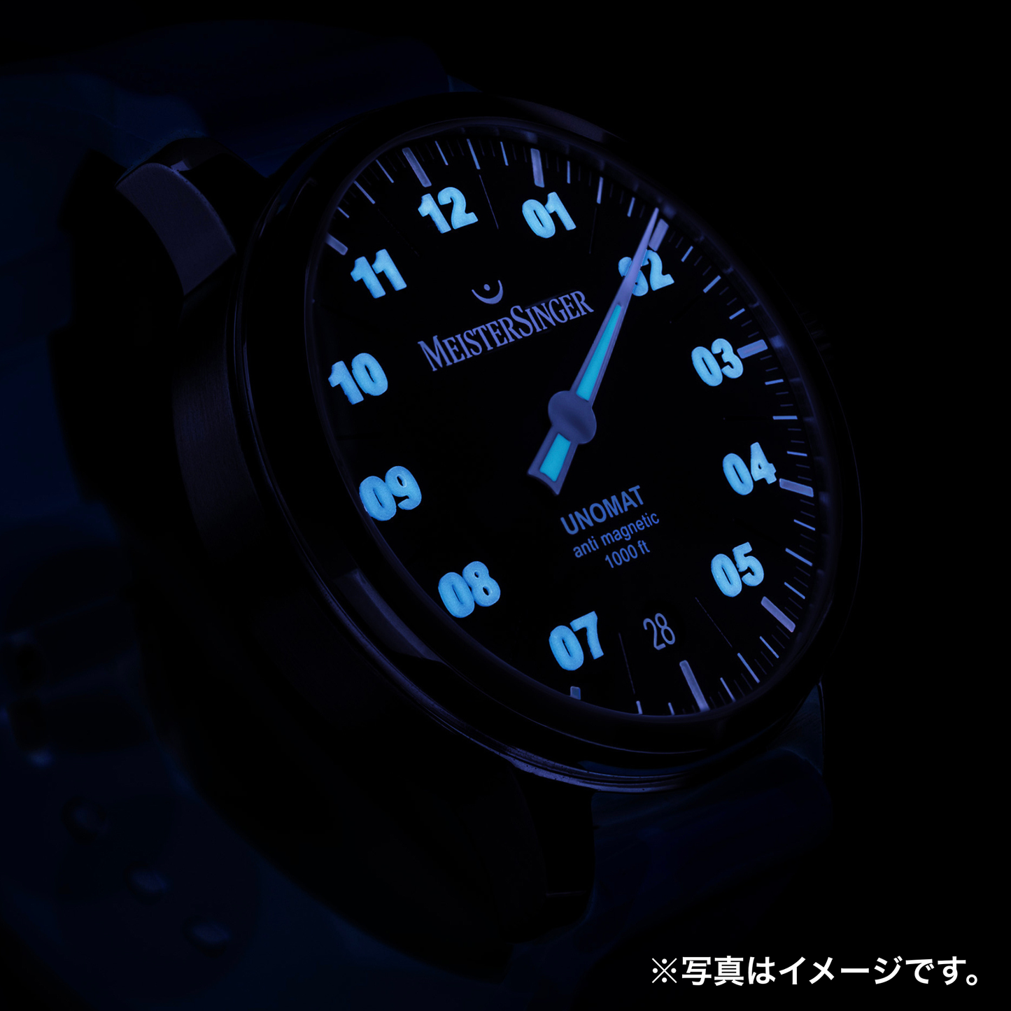 夜間は厚みのある構造によって側面からも光を吸収・放出し、特に強い発光を見せます。