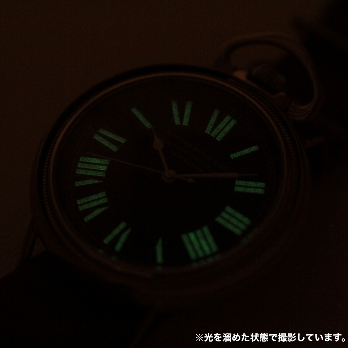 蓄光イメージ 正美堂撮影 AN5740 RAILROAD復刻