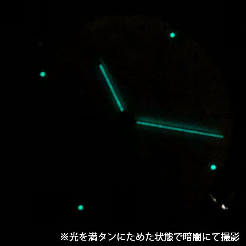 オキシゲン(OXYGEN) シティレジェンド 40 L-CA-WAL-40 自動巻き 腕時計