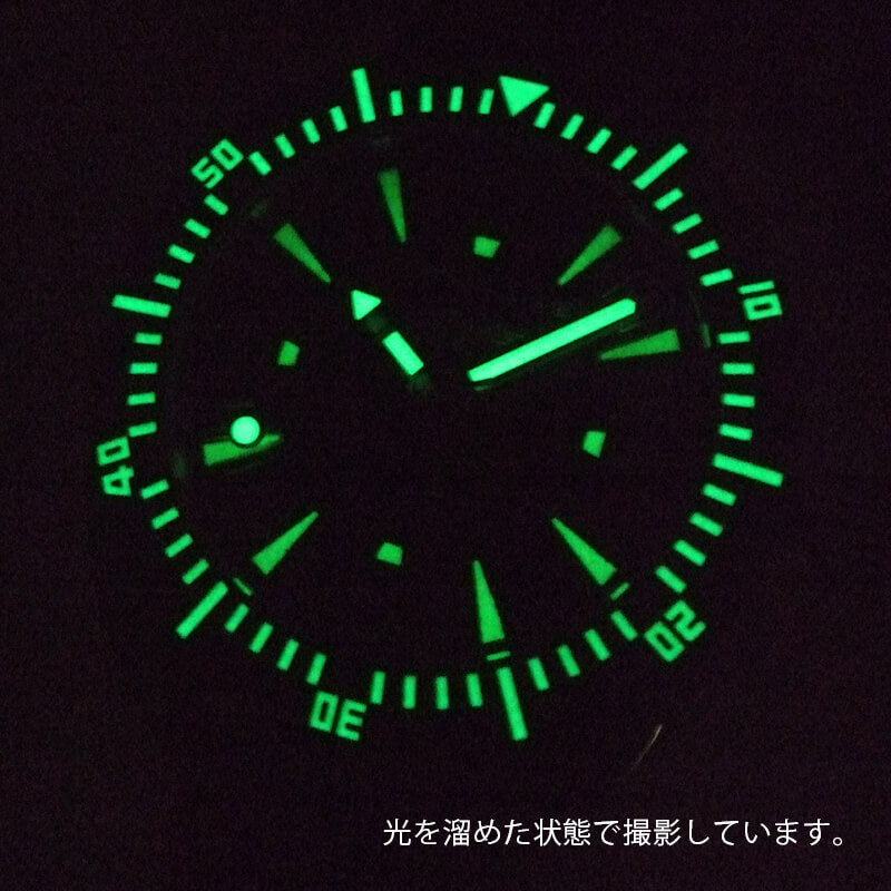 STURMANSKIE（シュトゥルマンスキー） AMPHIBIA（アンフィービア） 自動巻き ウォームグレー 腕時計 2416-7771500