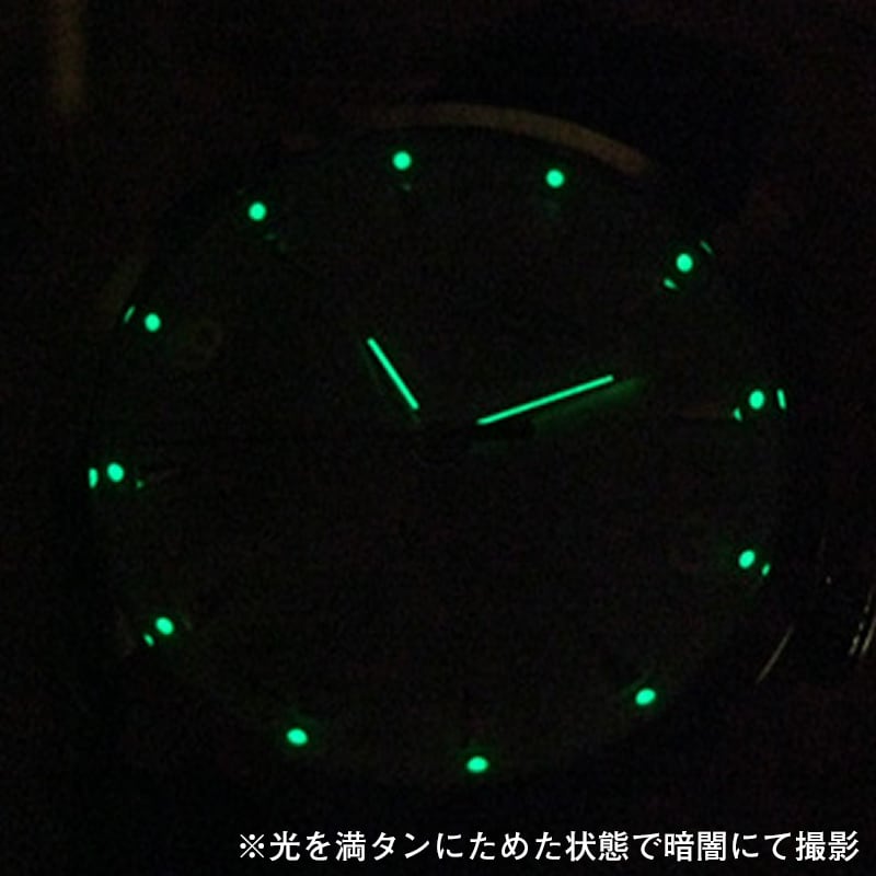 ビクトリノックススイスアーミー/アライアンス スモール　241828 /シルバー/メタルベルト/35mm/レディース　腕時計