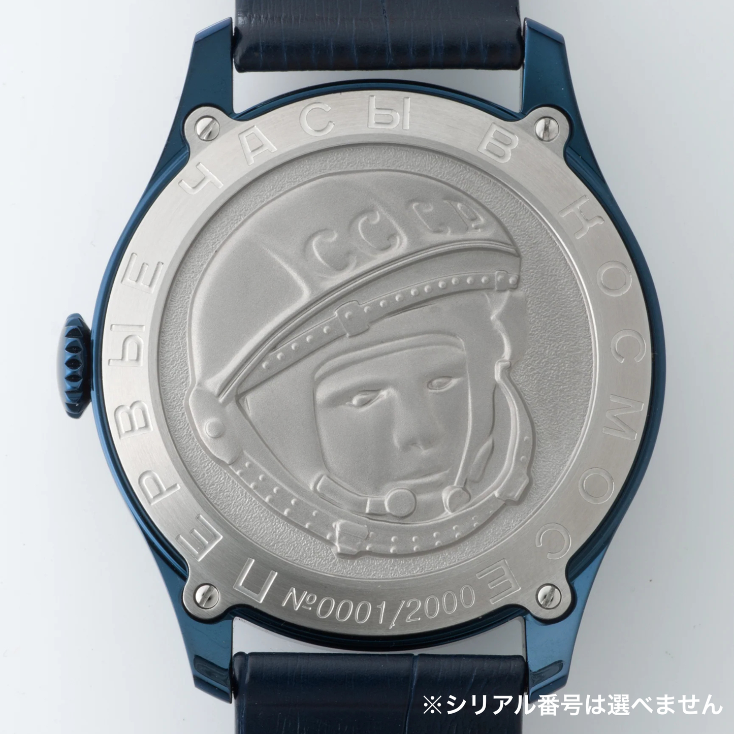 シリアル番号は選べません シュトゥルマンスキー 2609-3690119