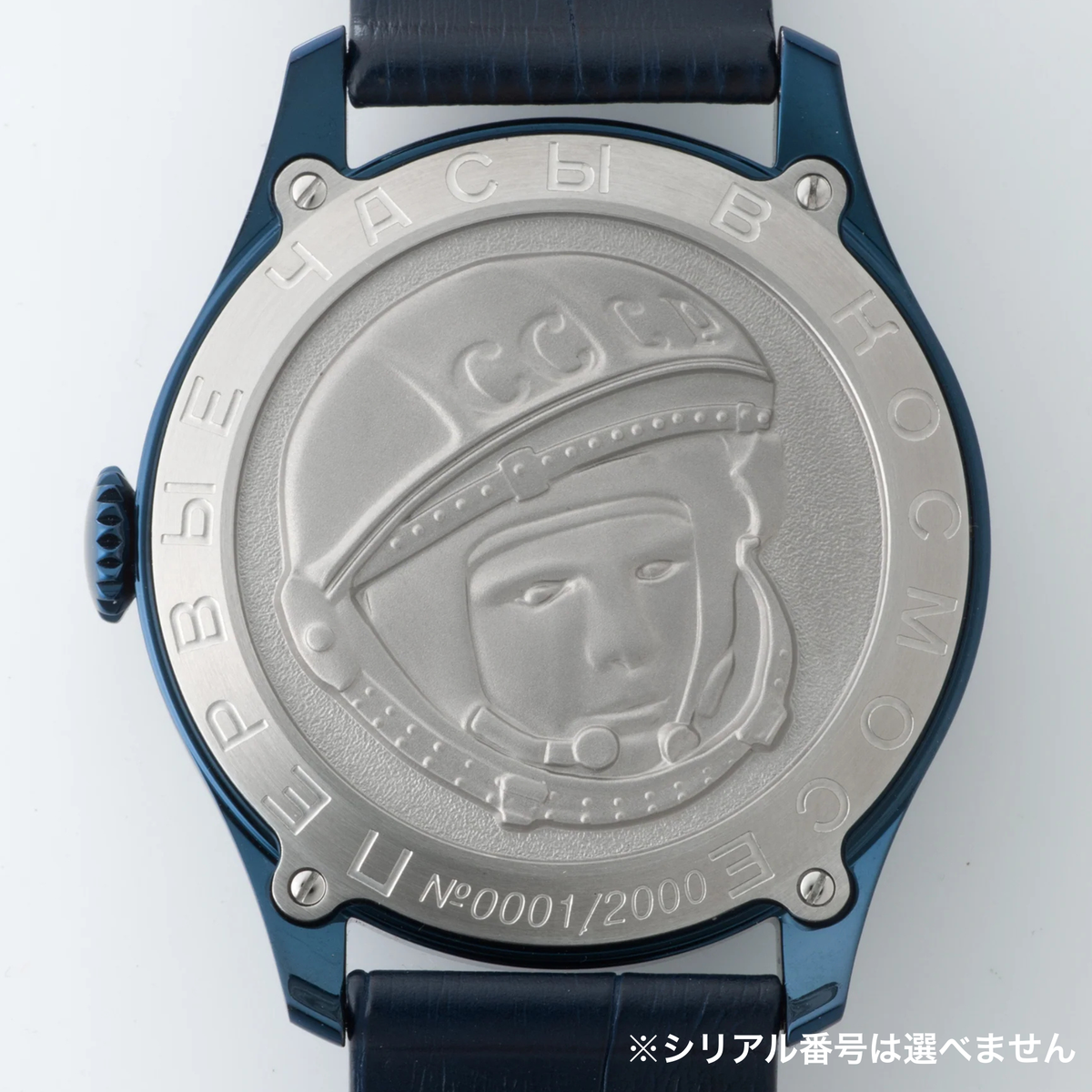 シリアル番号は選べません シュトゥルマンスキー 2609-3690119