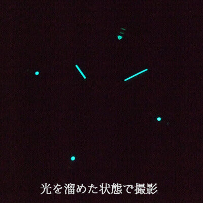 アイアンアニー（IRON ANNIE）バウハウス（Bauhaus）5066-2AT 自動巻き 腕時計