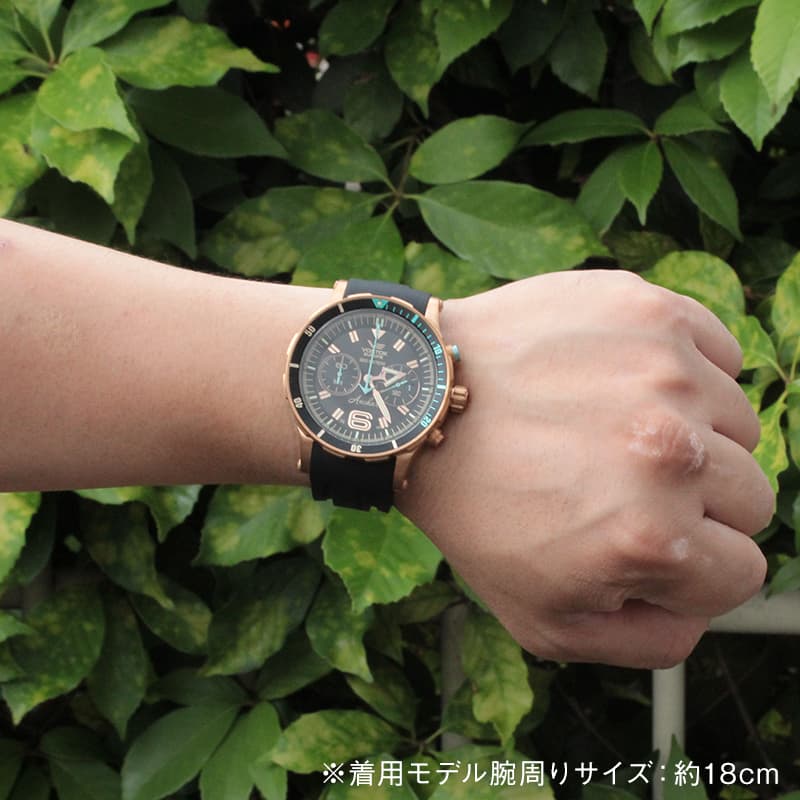 VOSTOK EUROPE(ボストーク・ヨーロッパ)/ANCHAR(アンチャール