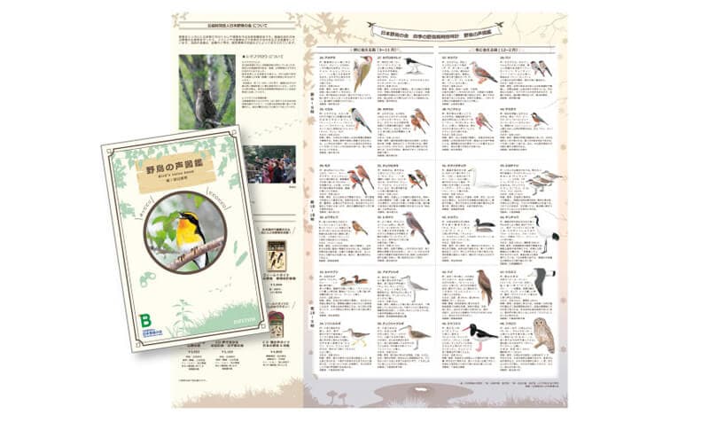 RHYTHM リズム 日本野鳥の会 四季の野鳥 報時掛時計　報時付き 電波掛け時計 8MN409SR06