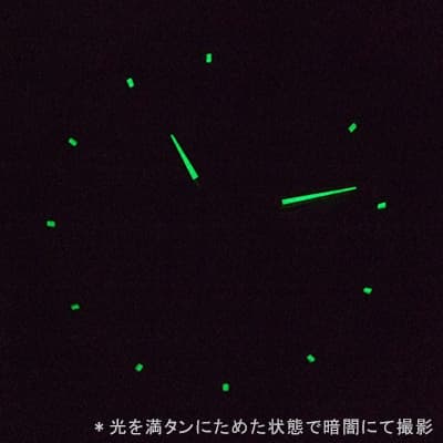 アエロ（AERO)/スケルトンCobweb/手巻き式/A50981NO20 ブラックカラー 腕時計