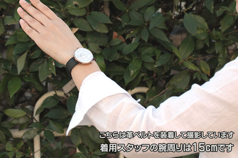 klokers(クロッカーズ)　時計KLOK08D1と専用 Textile strap KLINK-03 ヴェール・アマンドのセット　klok08d1-klink-03-mc2 腕時計
