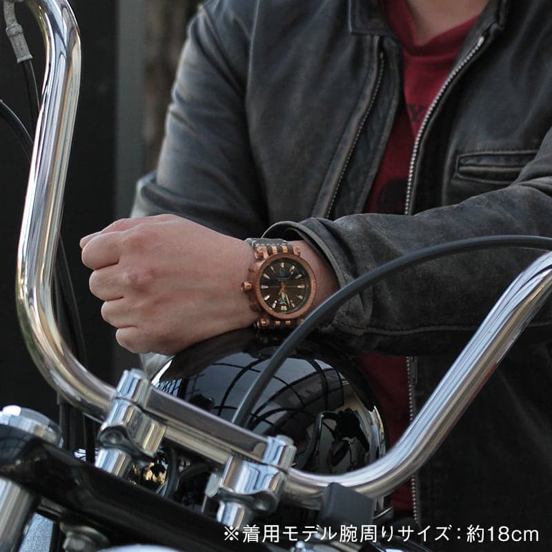 VOSTOK EUROPE（ボストーク ヨーロッパ） エネルギア Bronze　自動巻き 世界限定3000本 NH35A-575O285　腕時計