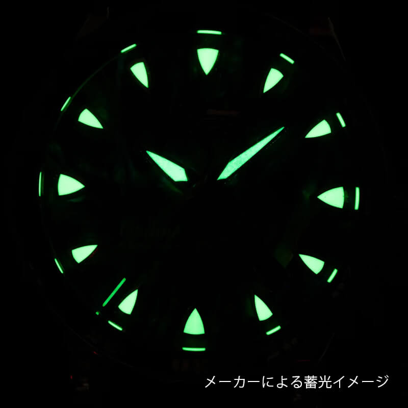 VOSTOK EUROPE(ボストーク ヨーロッパ) Undine ウンディーネ ユニセックスコレクション -Rebel- 自動巻き 腕時計 NH72-515D766