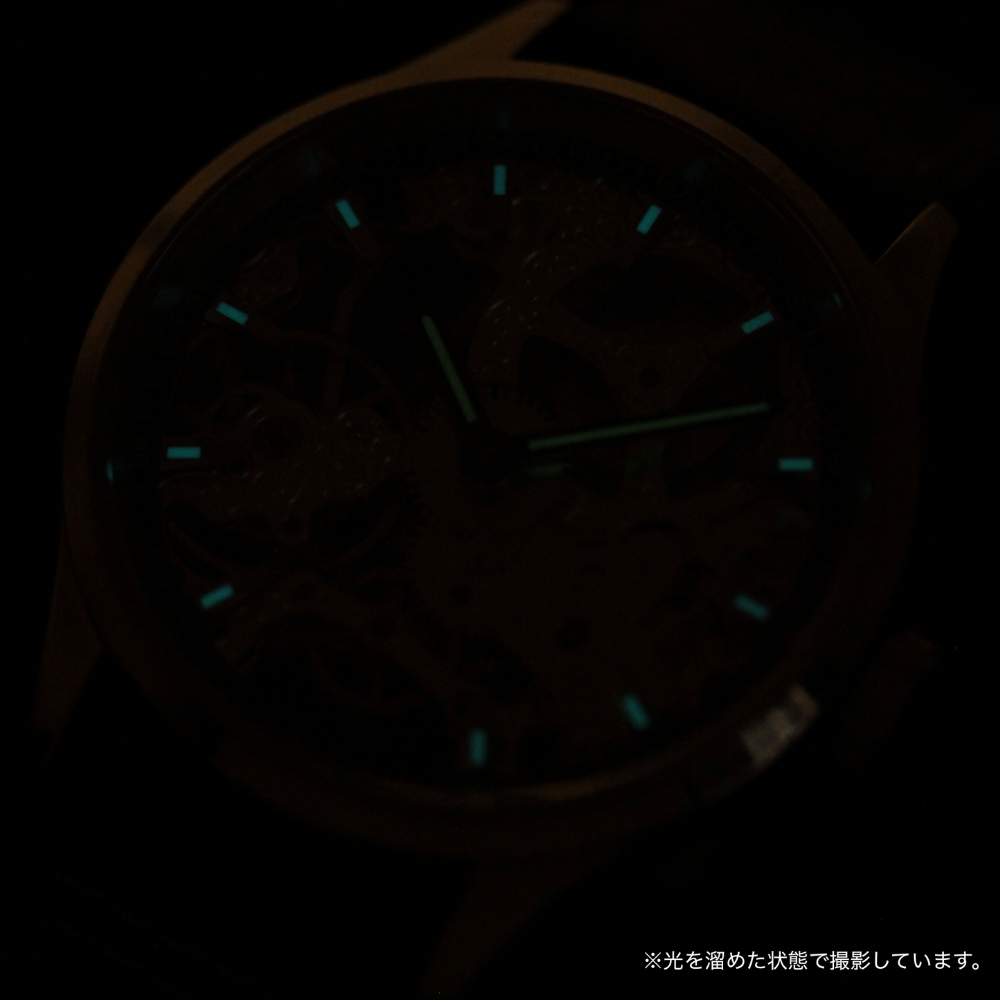 暗闇でも光る蓄光 rou8s1-h315p3ra