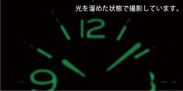 SEALANE(シーレーン) MADE IN JAPAN(日本製)/クォーツ 腕時計/SEJ020-LBK