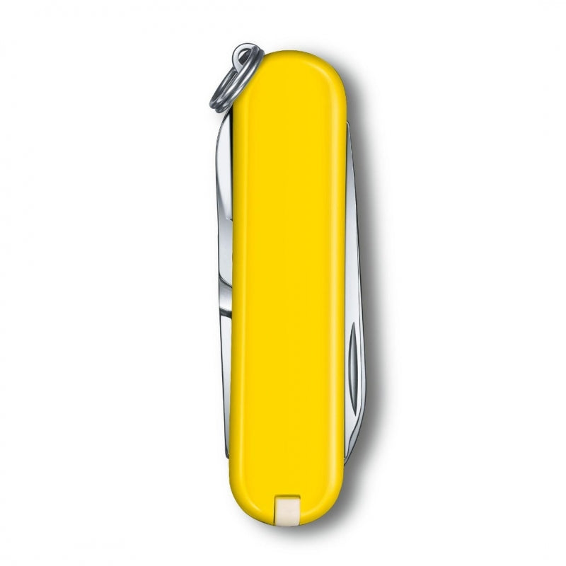 VICTORINOX（ビクトリノックス） スモール・マルチツール クラシック SD 0.6223.8G