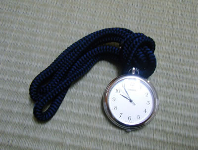 Seiko pocket watch deals pocket watch sapp001