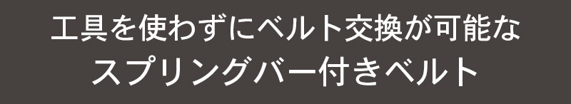 Ȥ鷺˥٥ȸ򴹤ǽʥץ󥰥Сդ٥