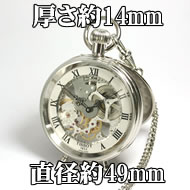 直径は約49mm