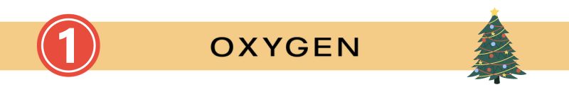 OXYGEN()ӻ