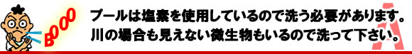 正美堂が答えるダイバーズ時計について