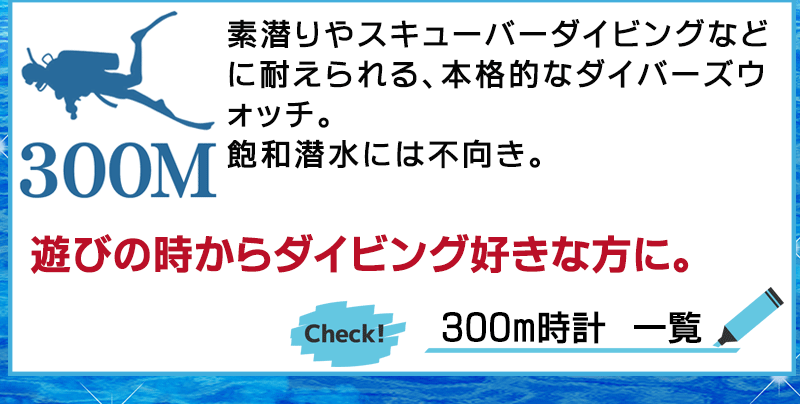 300mɿΥСå䥹塼Сӥ󥰤ʤɤ˥ӻס