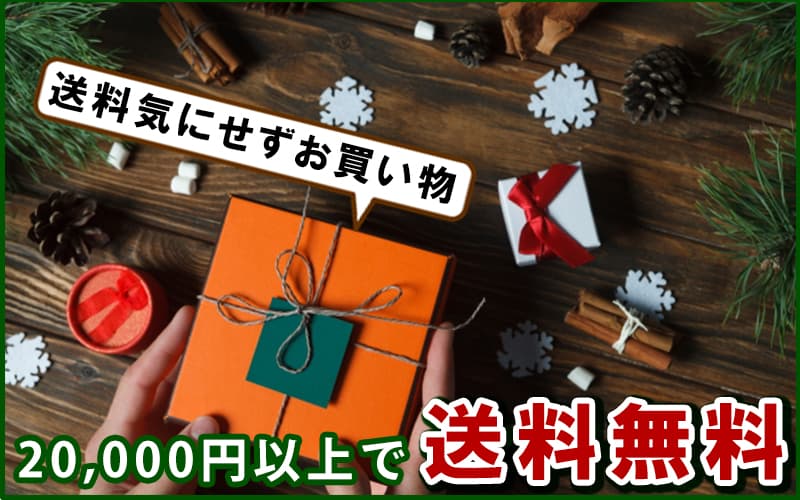 クリスマスプレゼント 送料気にせず送料無料