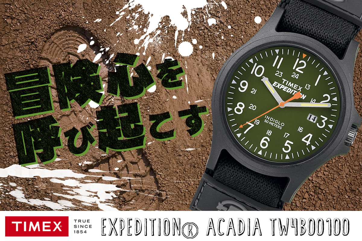timex tw4b00100