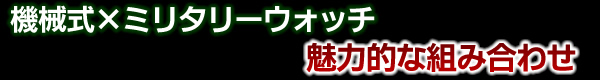 トレーサーp6600 オートマティックプロ P6600.9A8.13.01