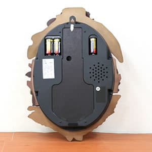 RHYTHM リズム となりのトトロキャラクター掛け時計 トトロM837N