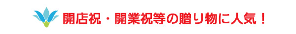 開店祝・開業祝等の贈り物に人気！