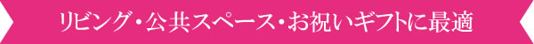 リビング・公共スペース・お祝いギフトに最適